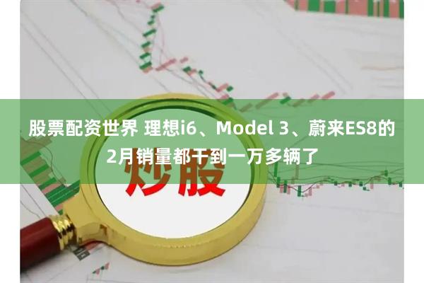 股票配资世界 理想i6、Model 3、蔚来ES8的2月销量都干到一万多辆了